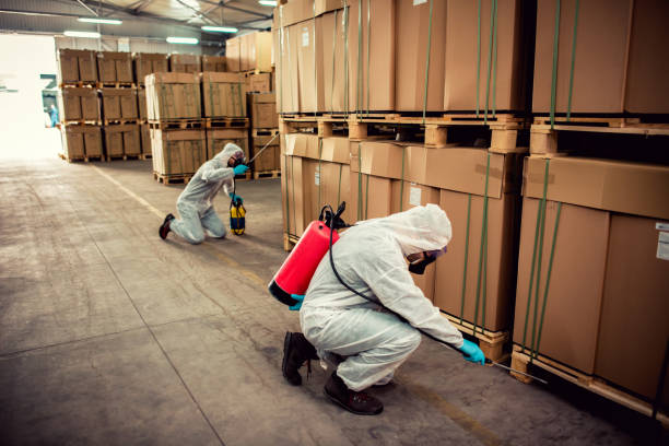 Best Pest Removal Services  in Union Hall, VA