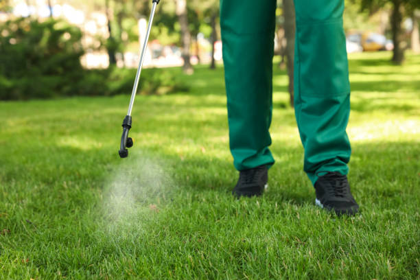 Best Pest Control for Restaurants  in Union Hall, VA