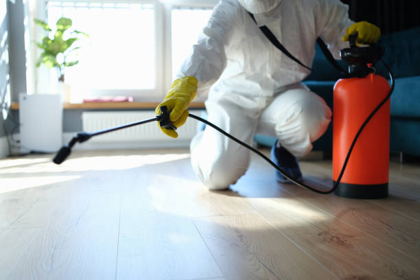 Best Termite Control Services  in Union Hall, VA