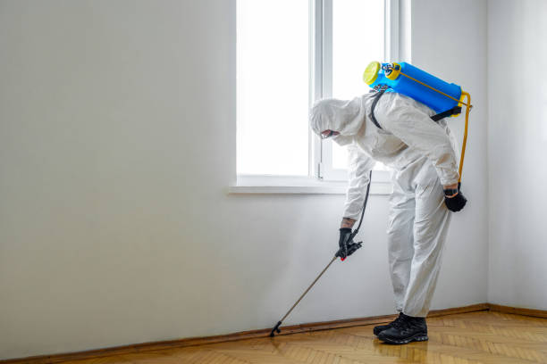 Professional Pest Control in Union Hall, VA