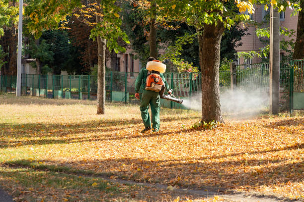 Best Best Pest Control Companies  in Union Hall, VA