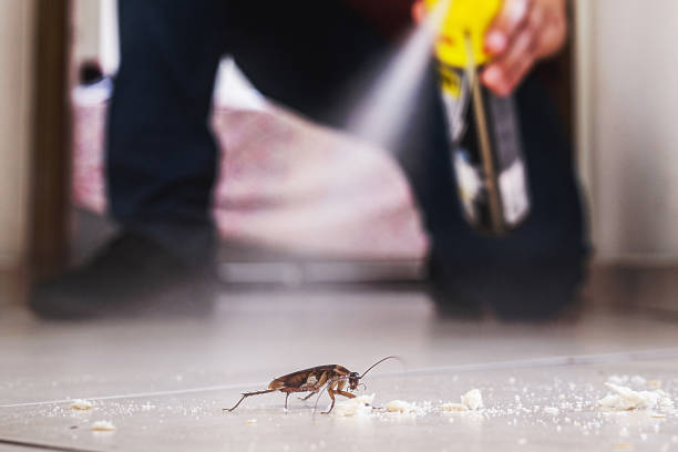 Best Commercial Pest Control Services  in Union Hall, VA