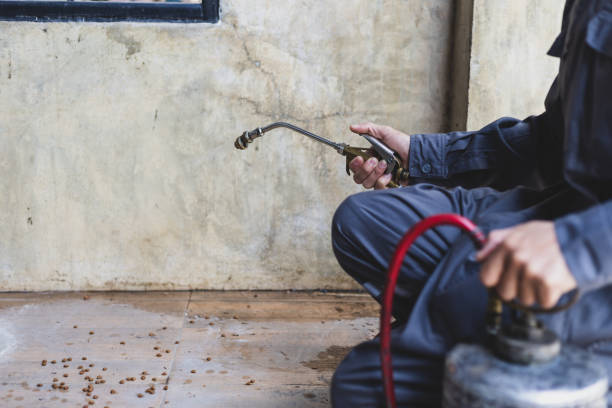 Best Residential Pest Control  in Union Hall, VA