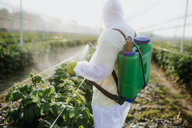 Best Best Pest Control Companies  in Union Hall, VA
